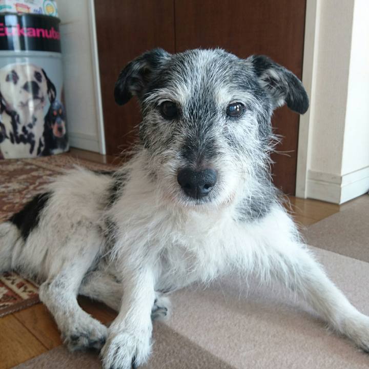 F942a24a 869c 47db aaa9 2abce524e60b