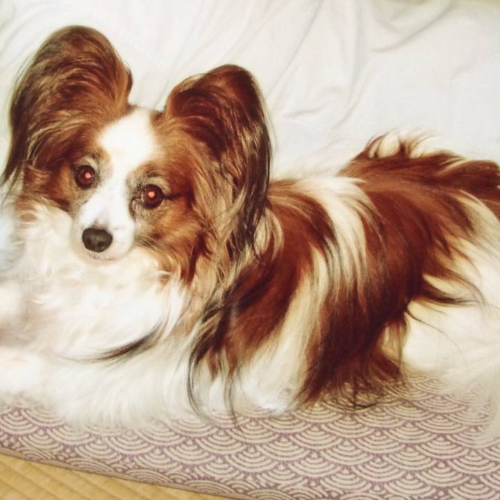 F943215f 07a2 40e7 9206 2bf56132f090