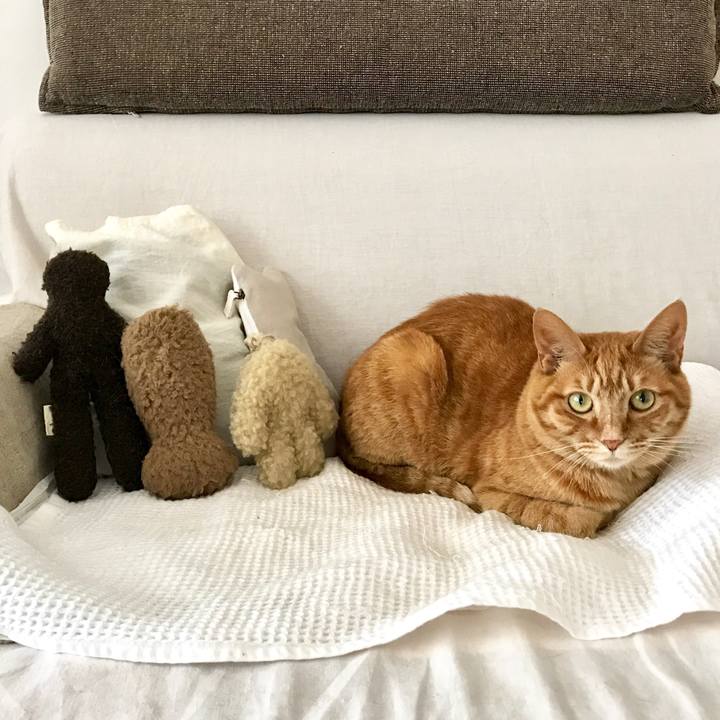 F9439a13 cb08 4956 925c 18b8508f4ddb