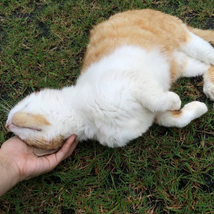 F944e967 84d5 42eb 9e76 5463ea40295f