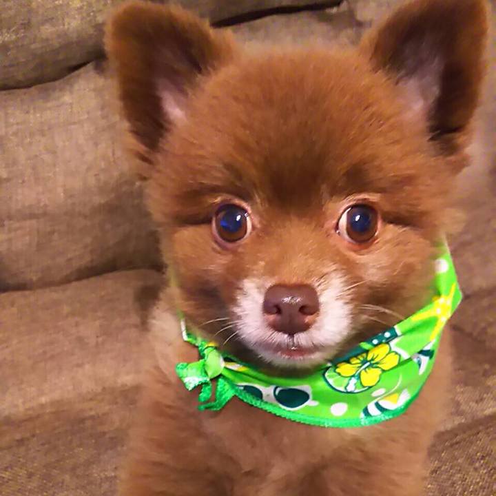 F9456660 7d48 403e a11b e131b66d61d1