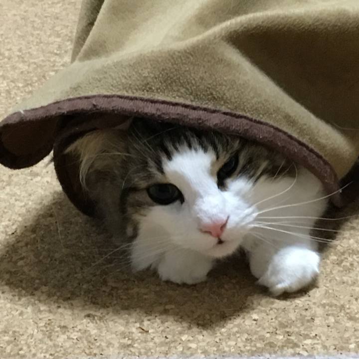 F945aa8d 9533 4129 b4e6 2f19c2dc8035