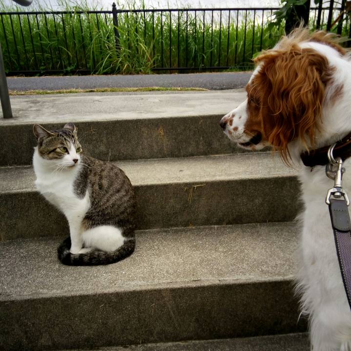 F9468481 7e31 450a a97c a0e58ed0940b