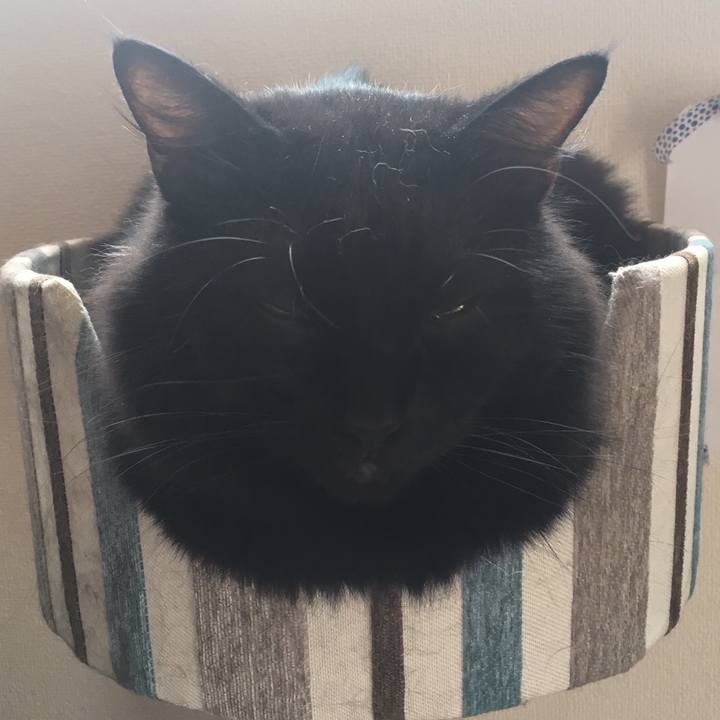 F9468898 2790 46c4 8710 d4bbdae87d01