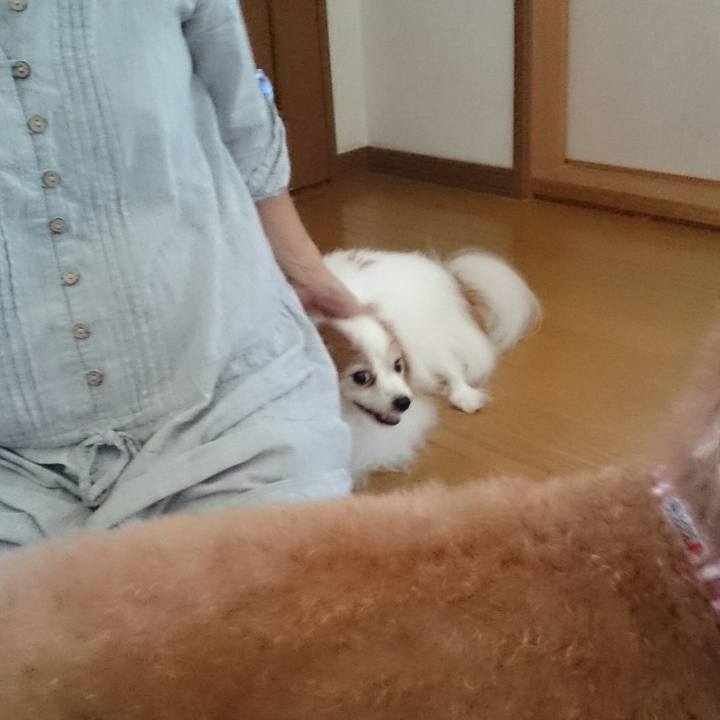 F94690f6 13df 4ea7 b140 79a819cabc88