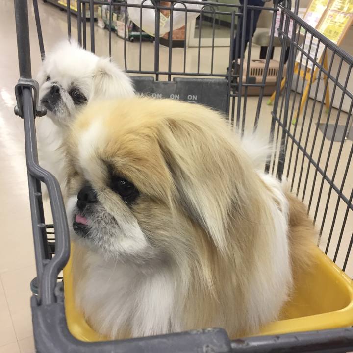 F946ac36 c0d6 4e33 9c83 0f386384f2e8