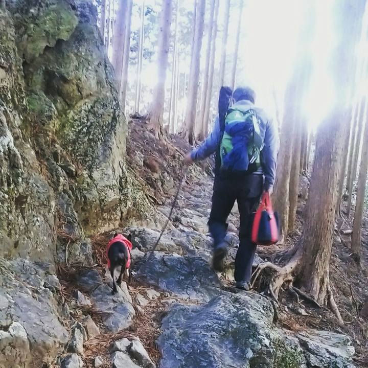 F94707c4 e7e6 4455 a953 8193c569714f