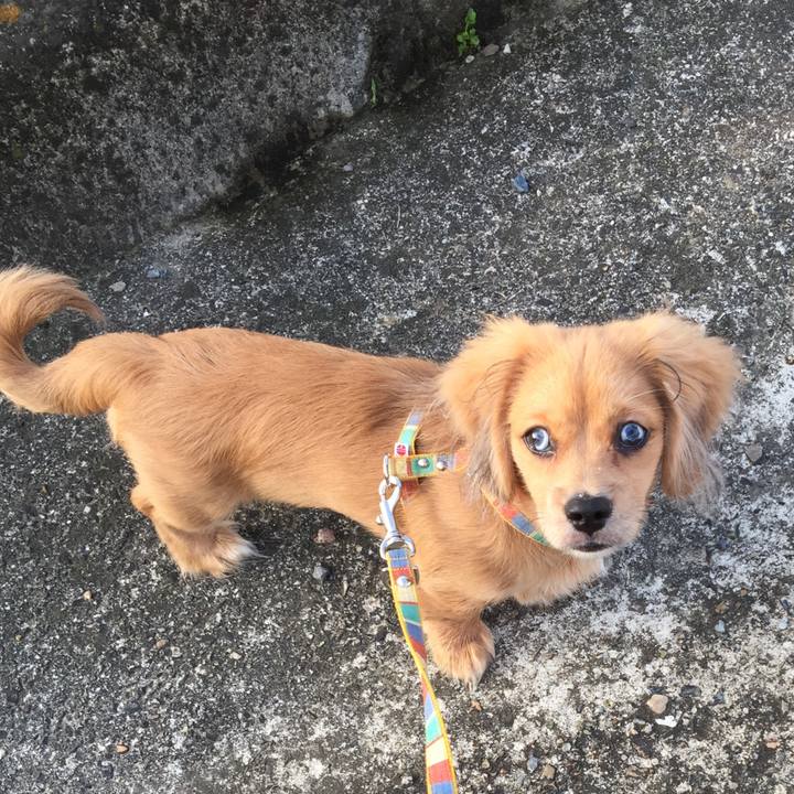 F9471a57 2ce4 459c 8d99 14b9ee761065