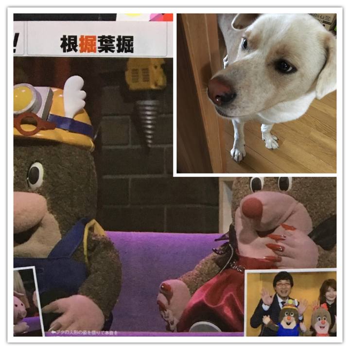 F947c9df ef5a 4ded 9c3e e854df750f20