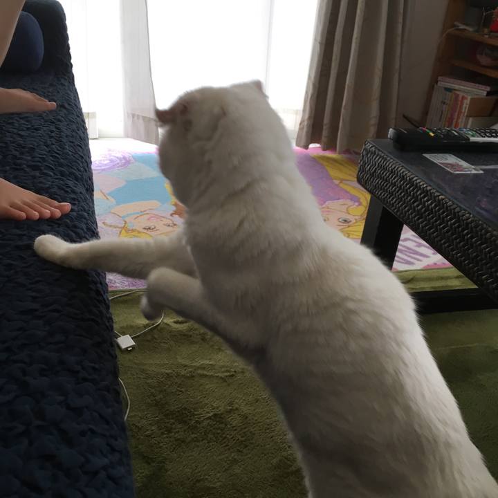 F947ed32 0bd5 4b64 bdf2 27abfb29ddd9