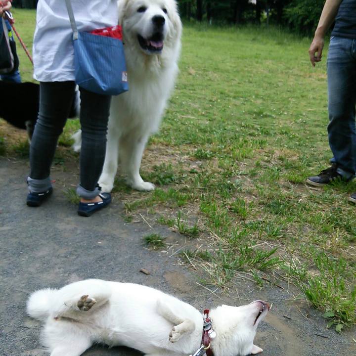 F94844d7 c04d 4c19 ae26 503aeef0fe2d