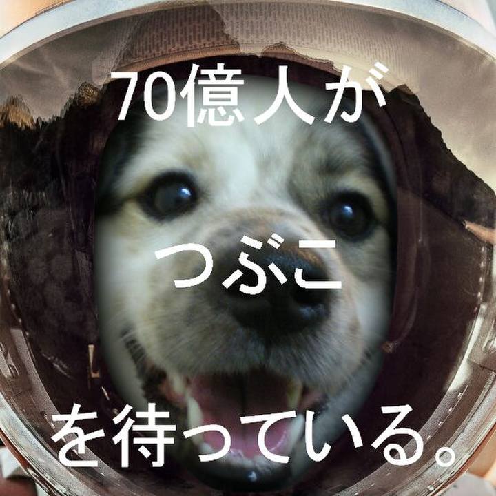 F9485042 8443 4583 9fb9 4601d193f73e