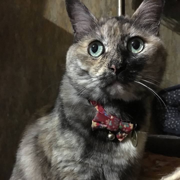 F9485680 bff6 4cb4 aba5 e3611a4e8ee2