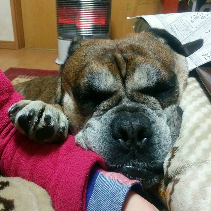 F948b7aa ffd0 467d a90f 50dbd522adae