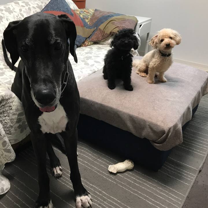 F94a63ee 4497 482b 8aa0 5b82f65e42d7