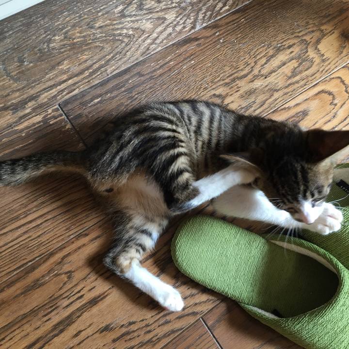 F94b0b3b 9179 41e9 a423 a9fe0d24272d