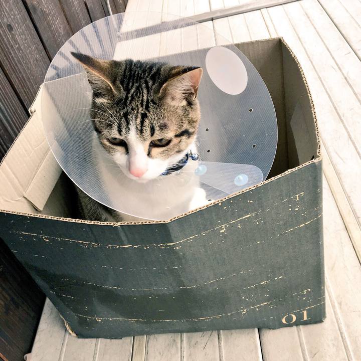 F94b215a 0f9a 4620 8b64 1ff6d709f59a