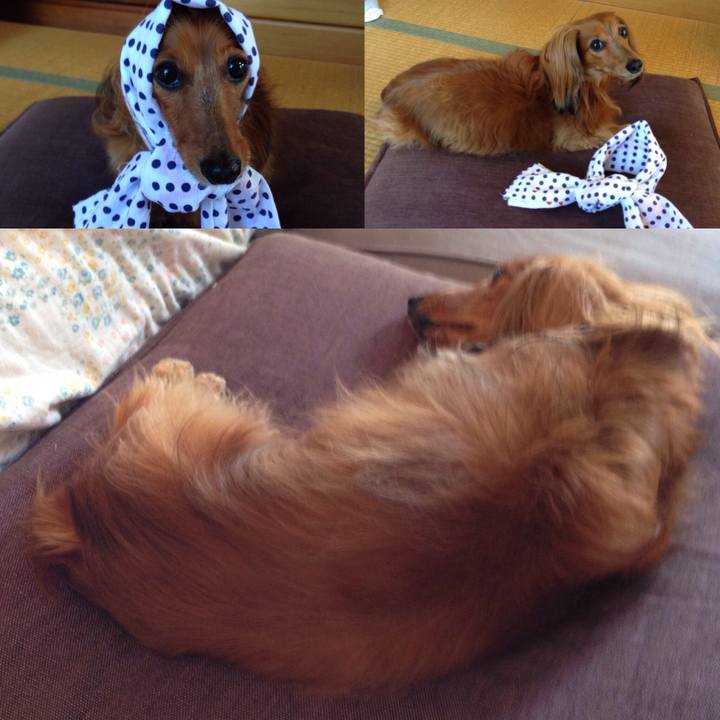 F94b2ad3 e955 4cb8 a106 1793afdca9a8