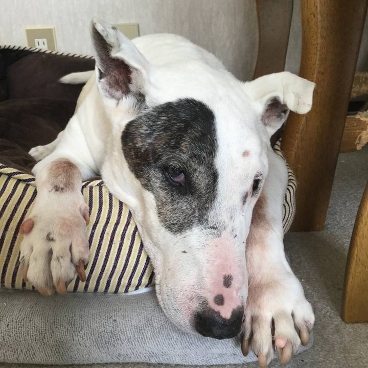 F94b2e66 6d9f 4c17 813c d28997e4568c