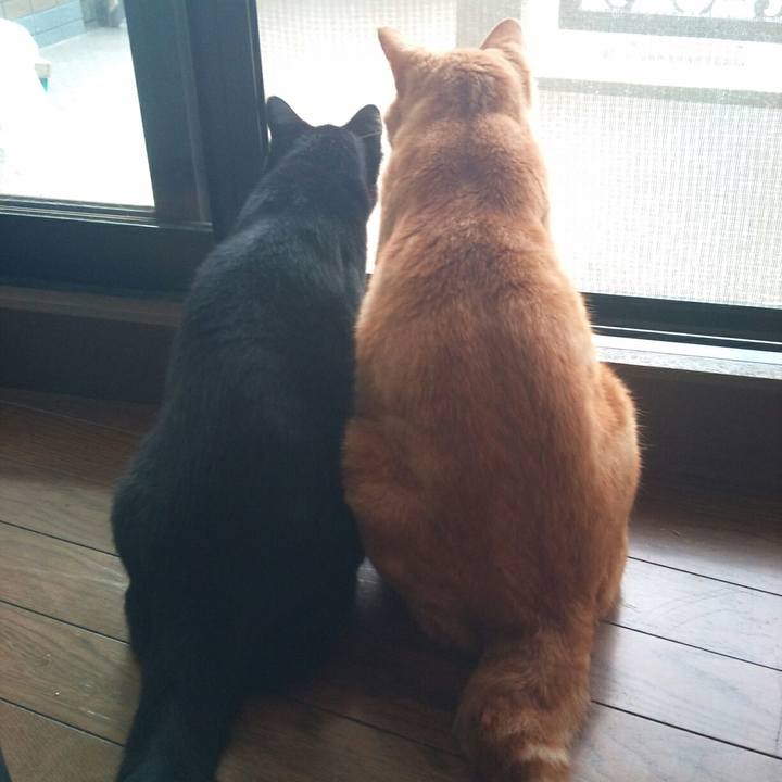 F94c1b26 f5e2 42ce 8f2d 1f96582e98ab