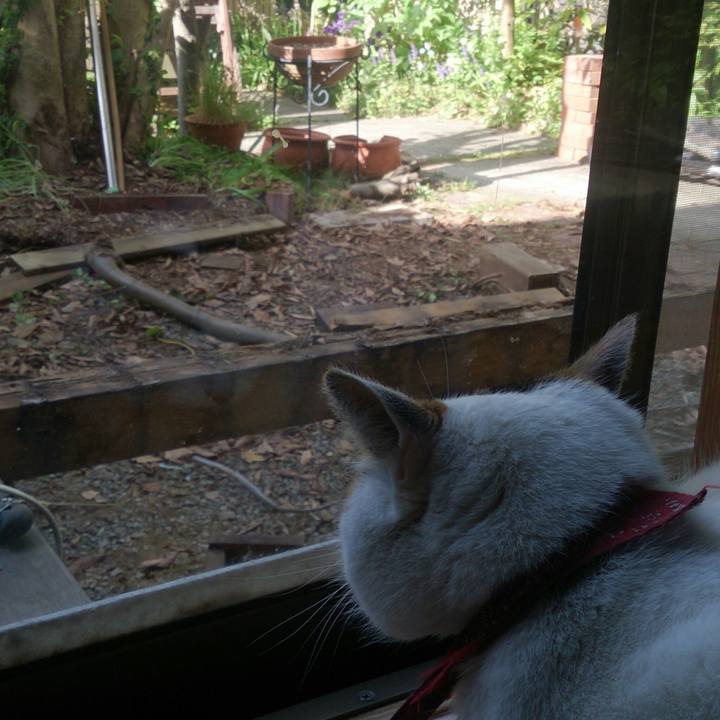 F94c64f3 20d8 4ae3 8032 d0177dc9dc55