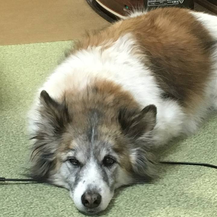 F94c6d01 61d0 45e0 a73d 21d0b30f0b3d