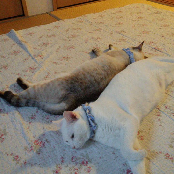 F94c776c a200 40e9 b368 cc07fa861b49