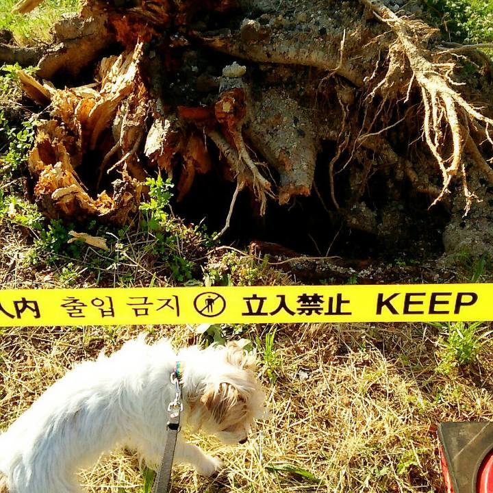 F94ca164 545a 4504 9364 66086586e328