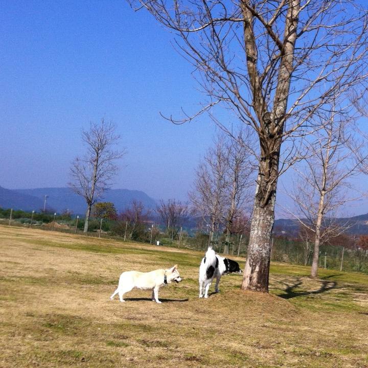 F94cae6f c2c7 4ee9 b709 c708d9286877