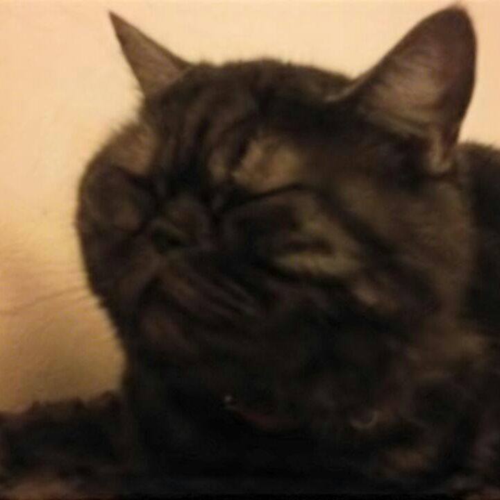 F94cb9a1 155e 47d9 8070 e128c64d23b7