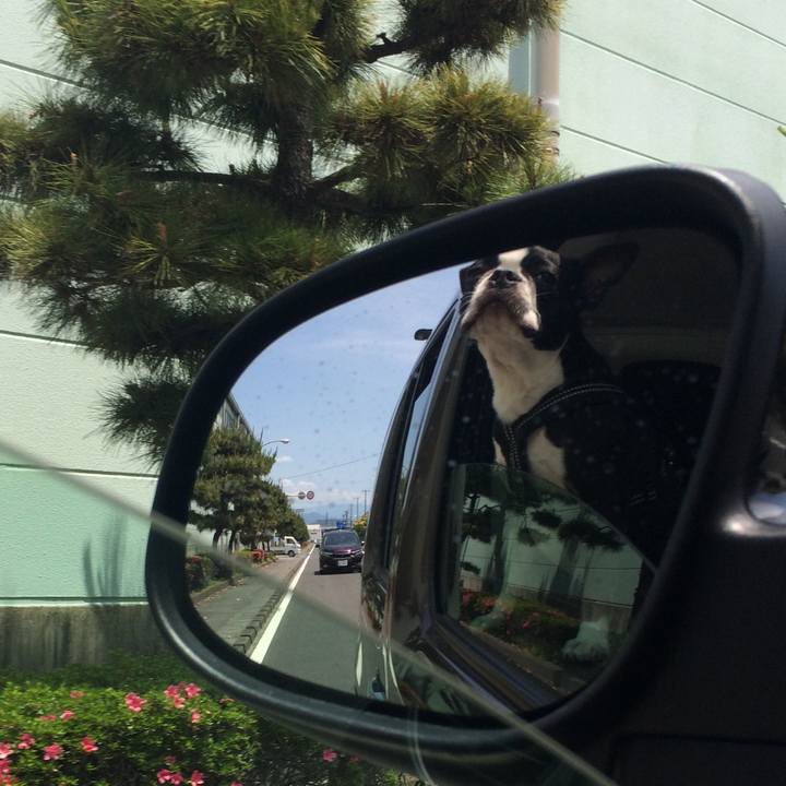 F94d22a5 4f51 4a18 99b4 ee18e2d1cc25