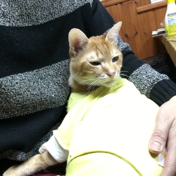 F94d37a1 e4f7 40a9 b081 43222b283c1e