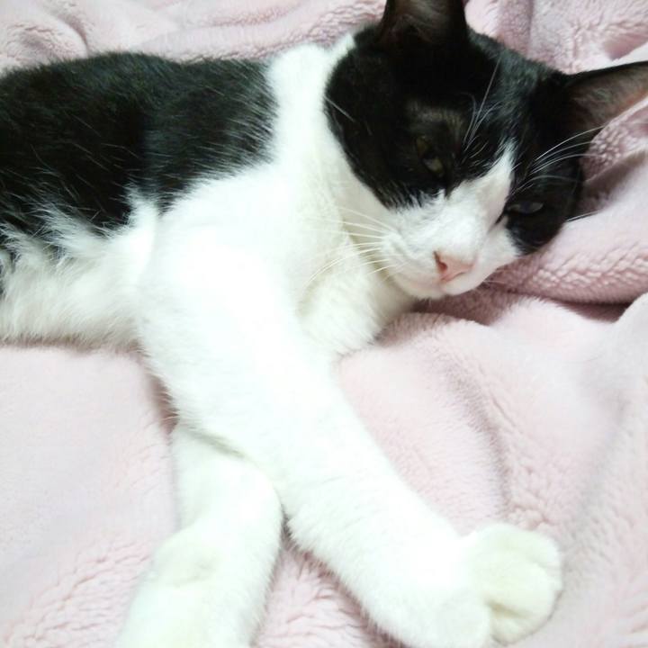 F94d5bb1 a56b 41f3 97fa 3d23a5846d39