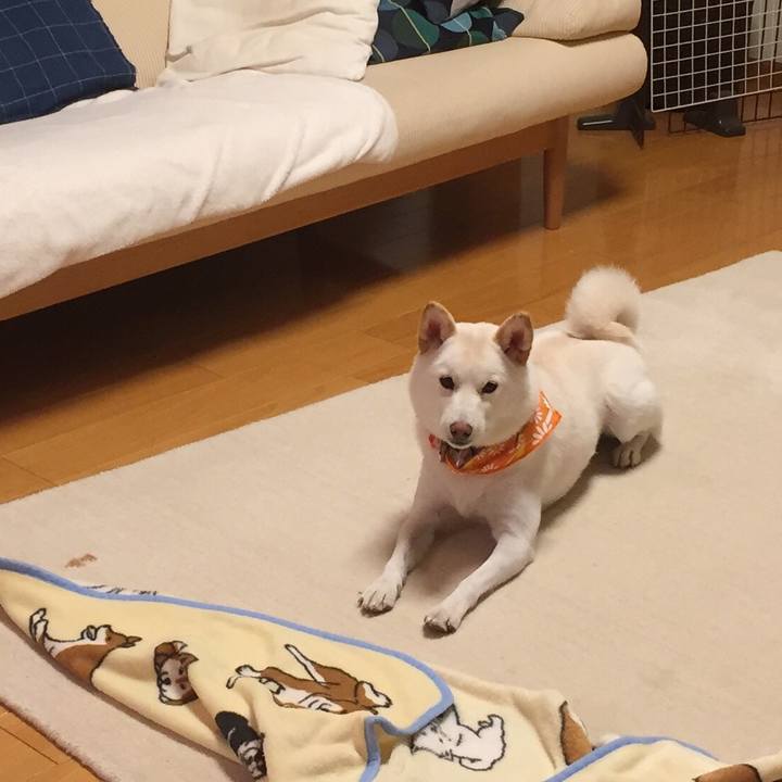 F94e096e 4aa0 471b 8d94 d52702ac207b