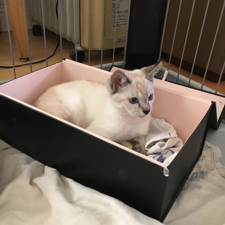 F94e64b3 6571 4305 a0fb 678289c8eda3