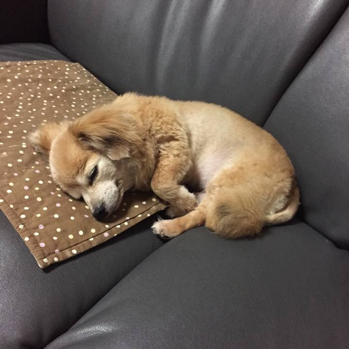 F94ef31f cd1f 490c aaed d2f4bee33291