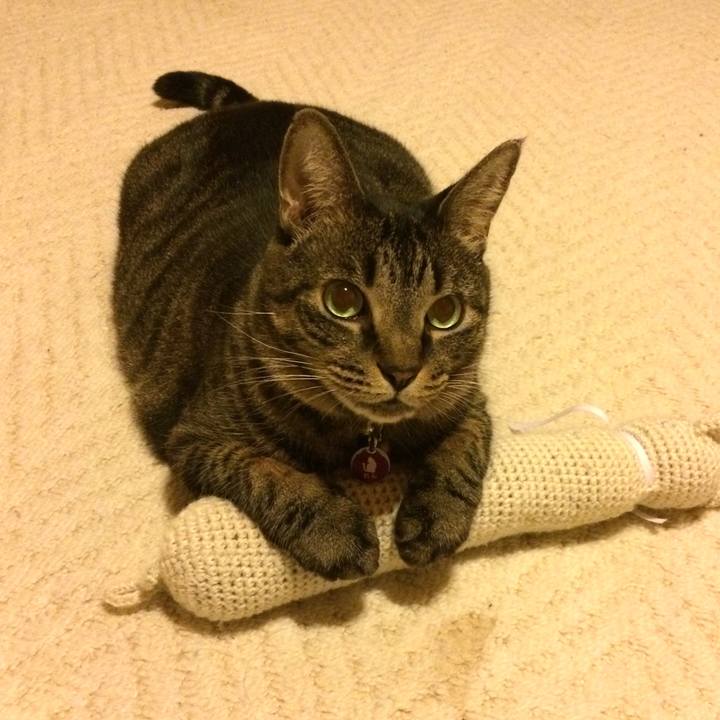 F9511888 6676 4223 9f34 e90b26642205