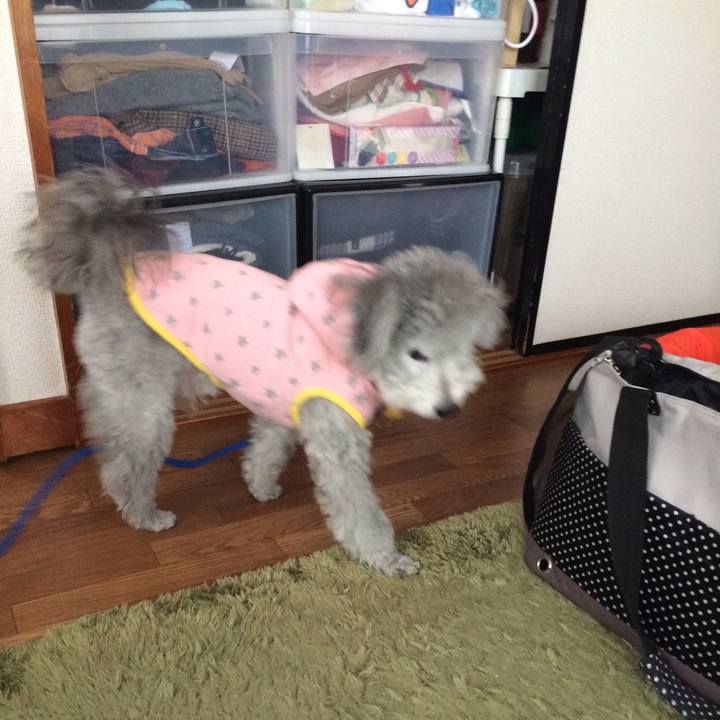 F9517f50 f149 4bfa 8b92 e115985e921c