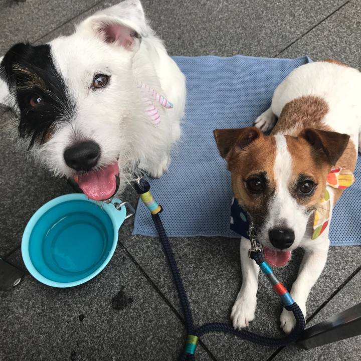 F9519543 a26b 453b b7ed d08e43391aa5