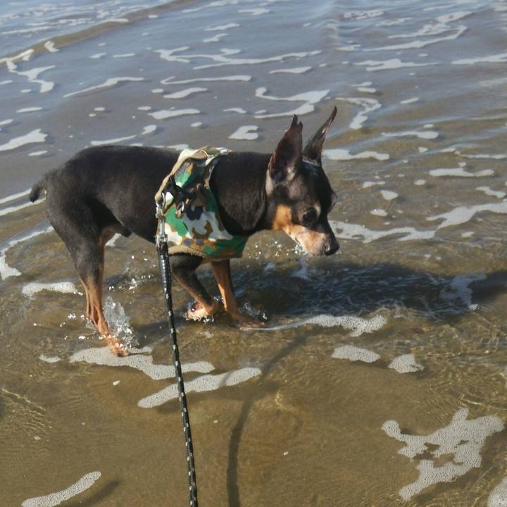 F952bbaf 4b85 46e5 9f57 4acc084ca560