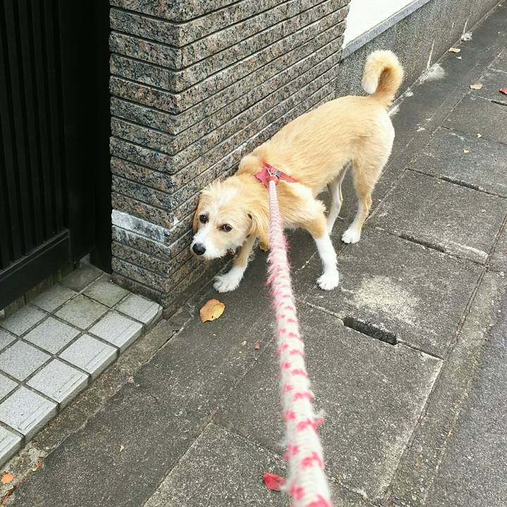 F95306c4 968f 4ccc 8068 e565b68ffccc