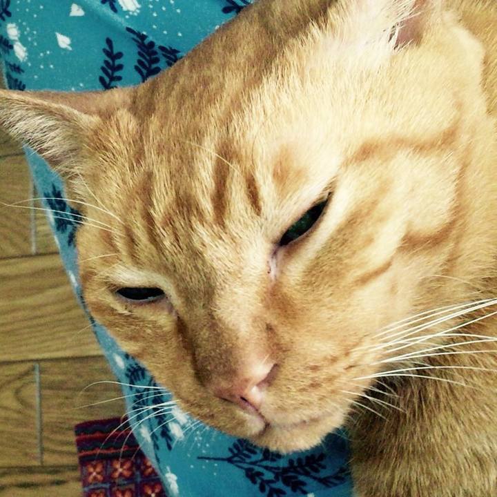 F95340db 7f54 4e89 a8fb 8feb83d28597