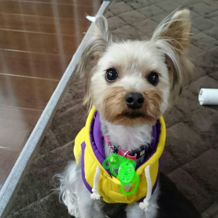 F9540fdb 401f 414b 9ce2 a345b2e1f5c8