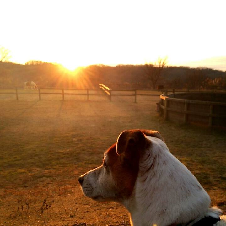 F9549234 2481 4a12 8800 428e6d37699a