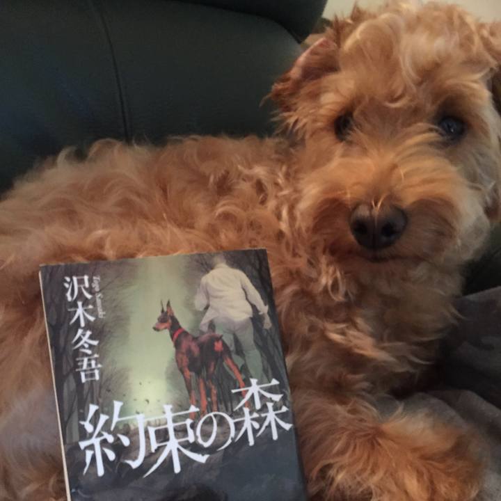 F954bf79 af58 4357 a912 a82e17b8b058