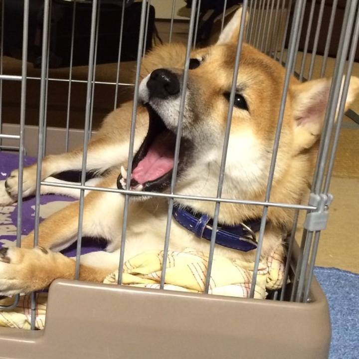 F955c9bf e621 44b8 9111 4ee02057ee33