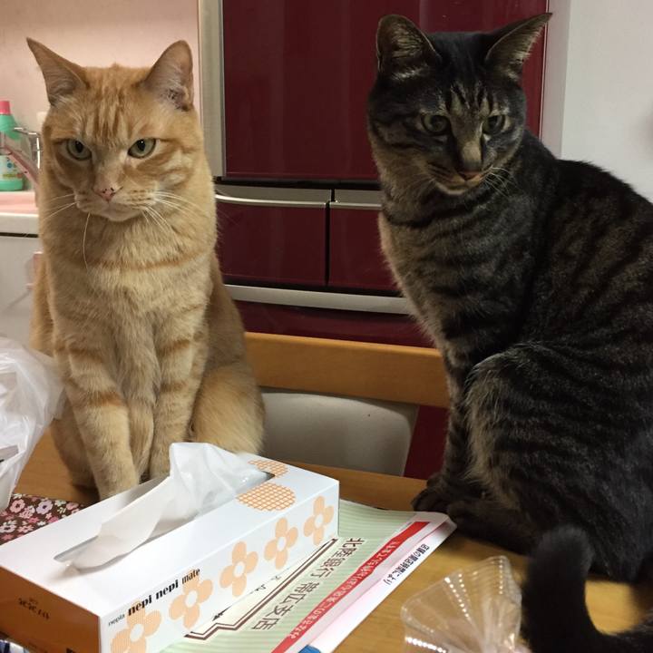 F95626e7 3ad7 40d5 9a62 e270c77fefcf