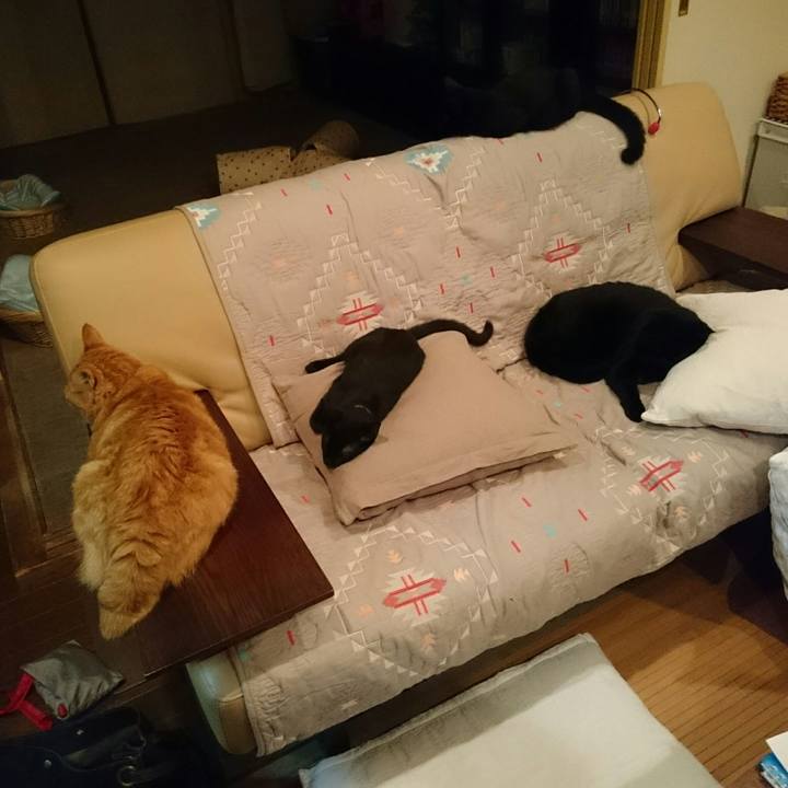 F9564d3e 19e8 4279 a47e 859a9bfaf836