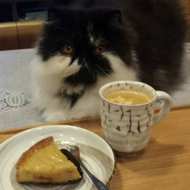 F9569b4c cc1a 405a a3e2 c0a801882021