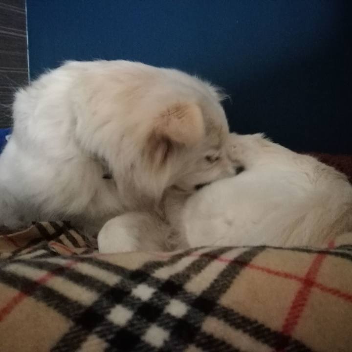 F956a8e8 2c18 4c09 9720 163a8ae73d9f